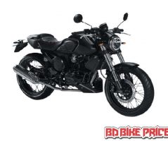 Generic Cafe Racer 165